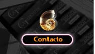 Contacto